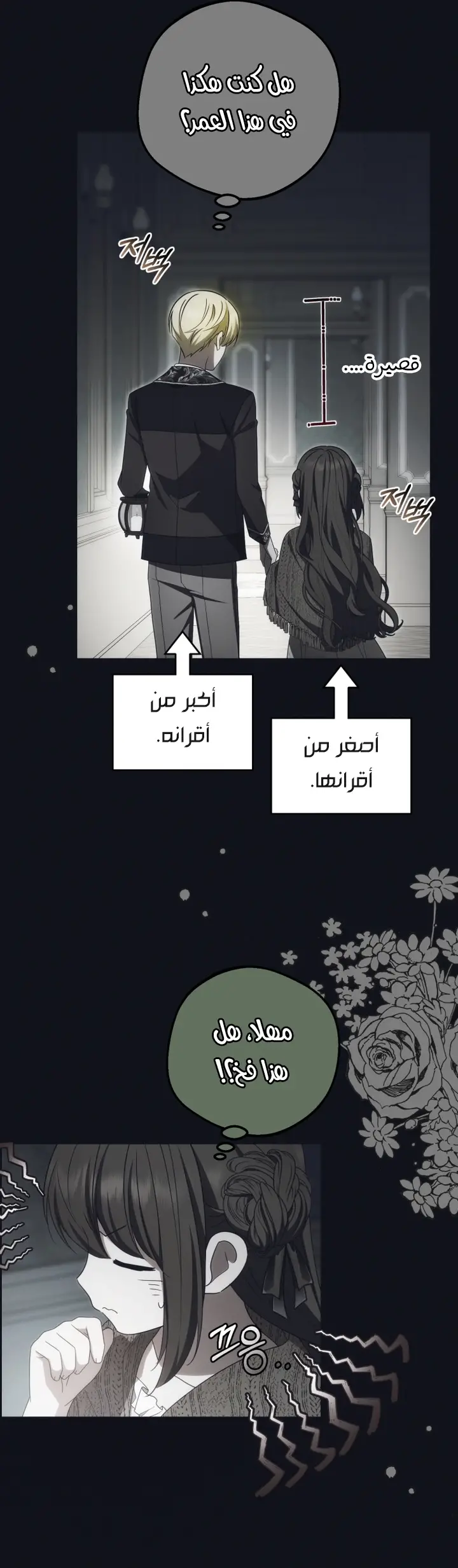 الصفحة 17