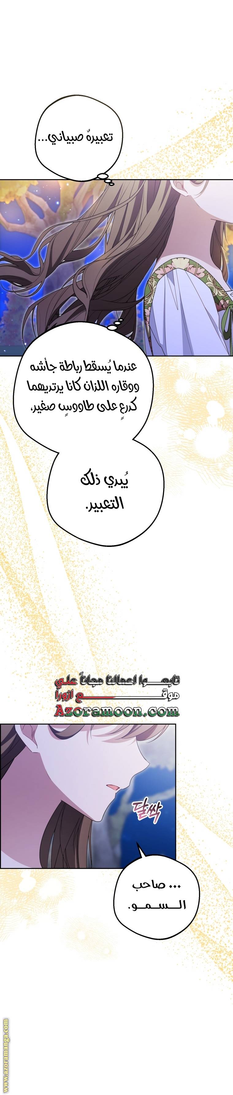 الصفحة 17