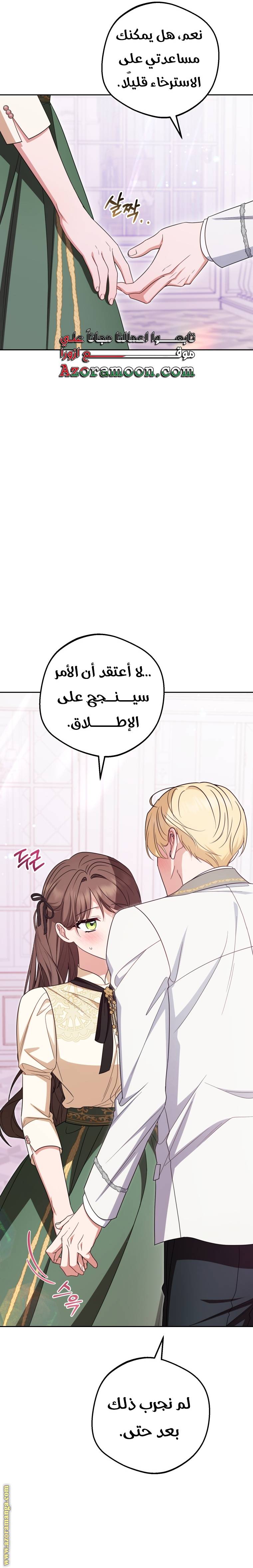 الصفحة 17