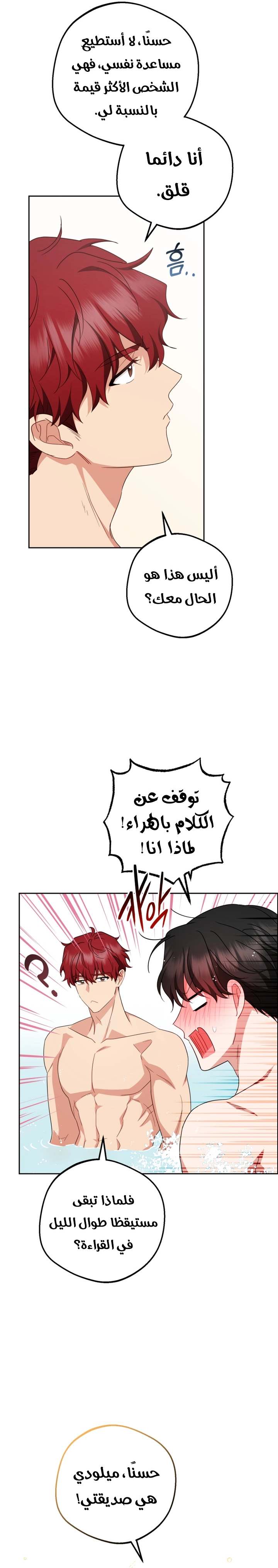 الصفحة 17