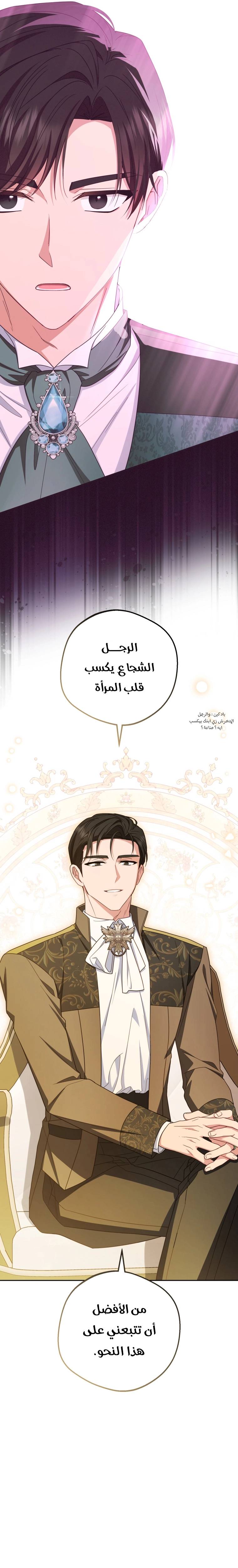 الصفحة 17
