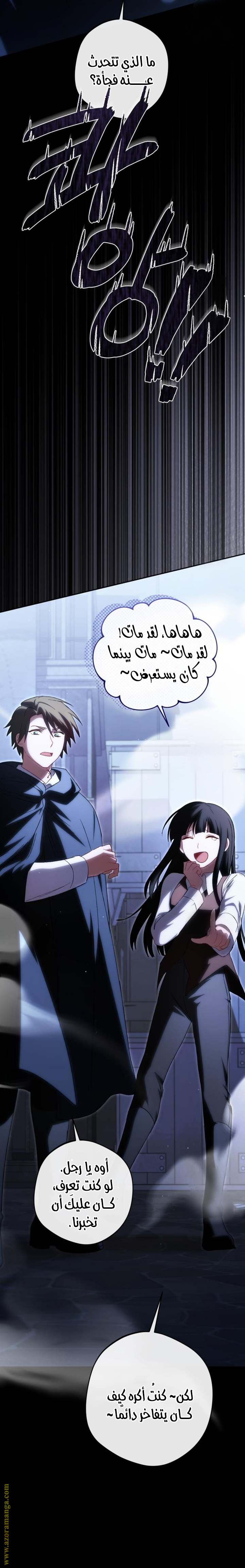 الصفحة 17