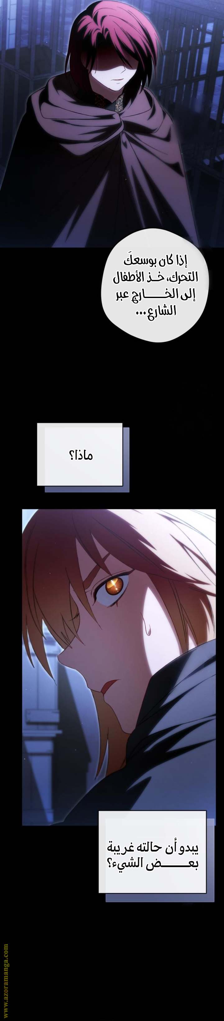 الصفحة 20