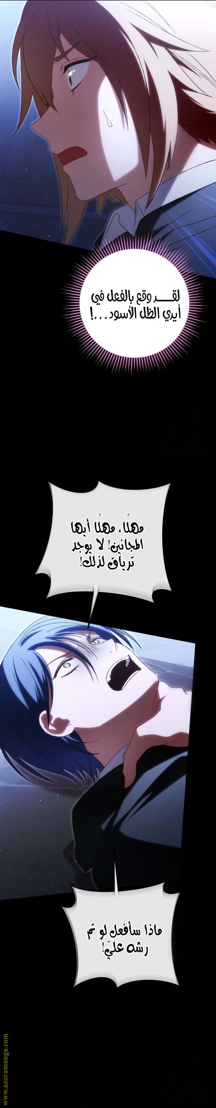 الصفحة 22