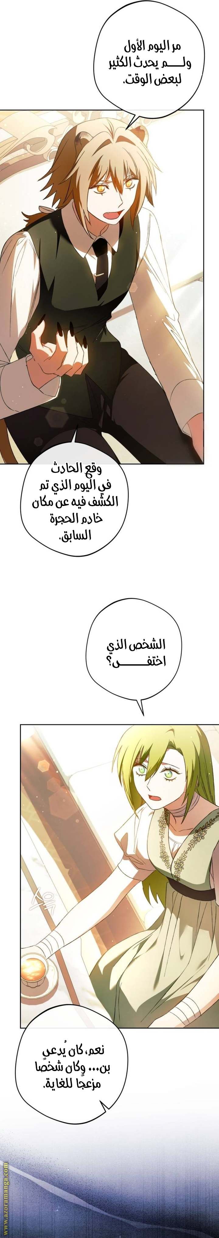 الصفحة 13