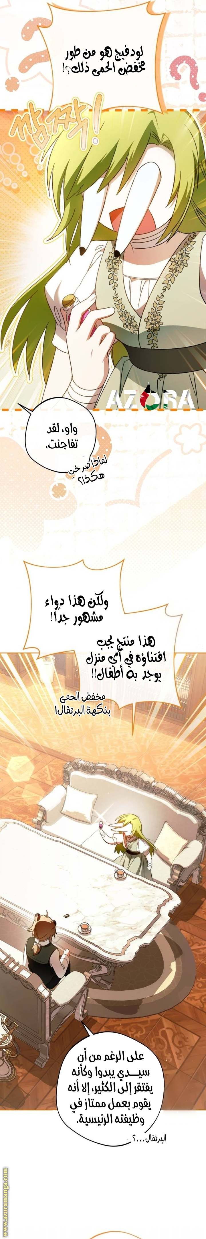 الصفحة 17