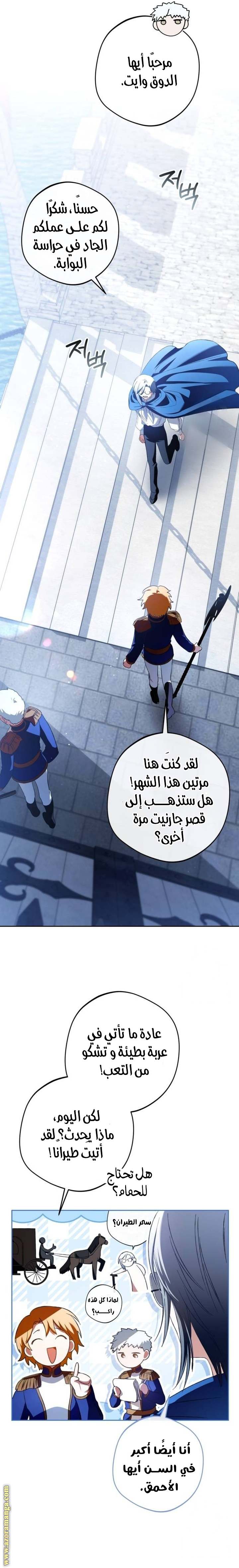 الصفحة 31