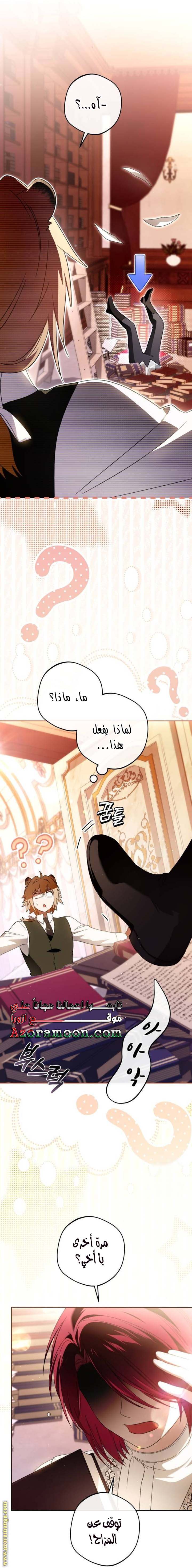 الصفحة 5