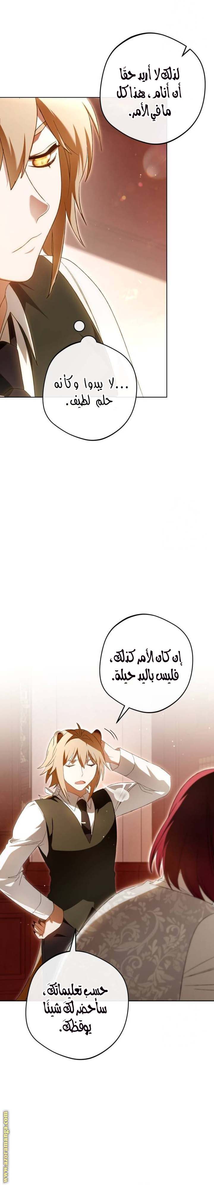 الصفحة 17