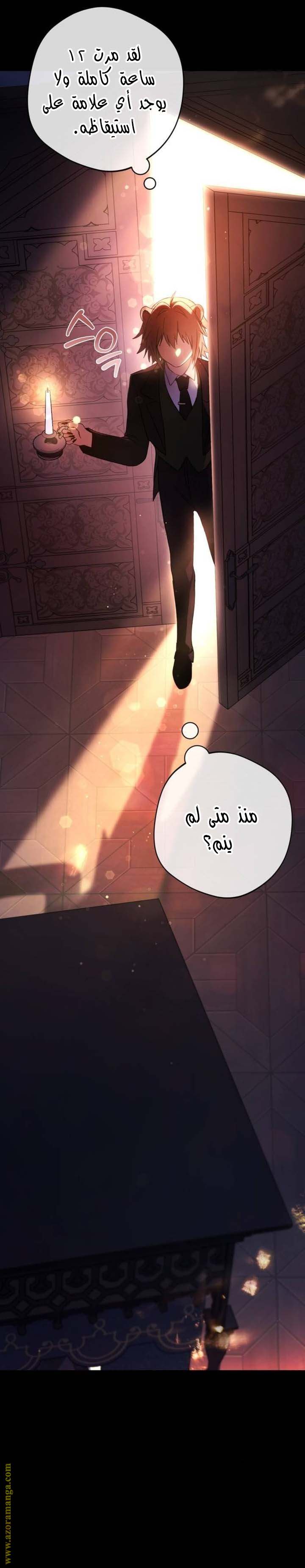 الصفحة 21