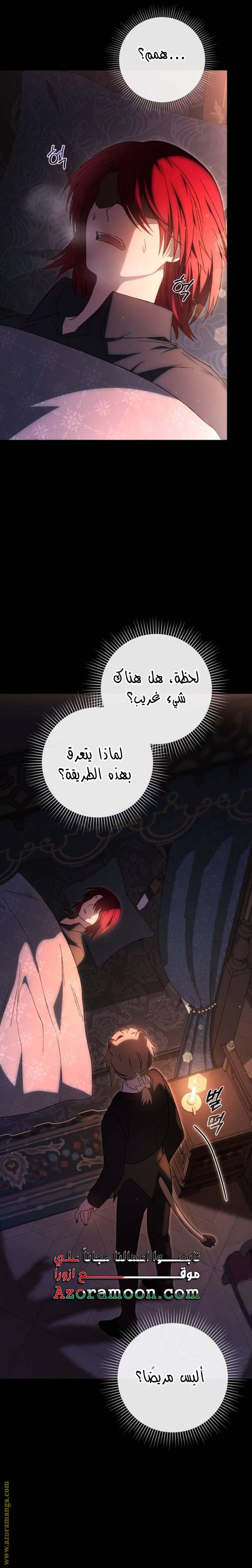 الصفحة 25