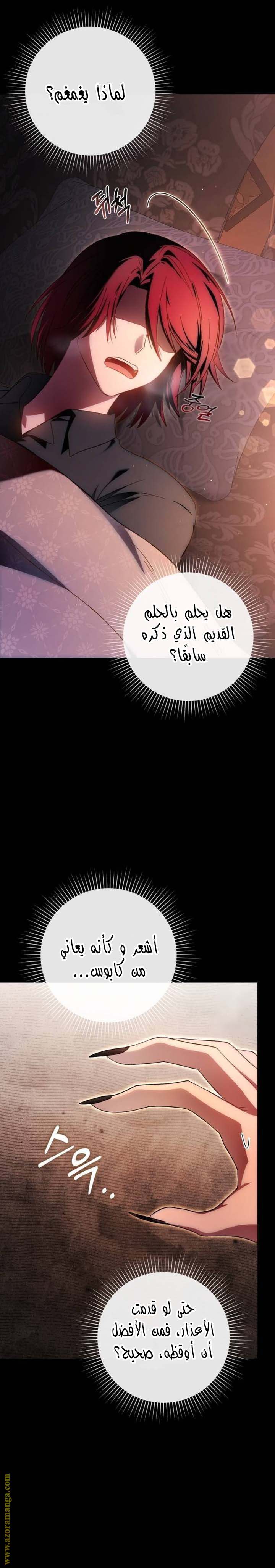 الصفحة 26
