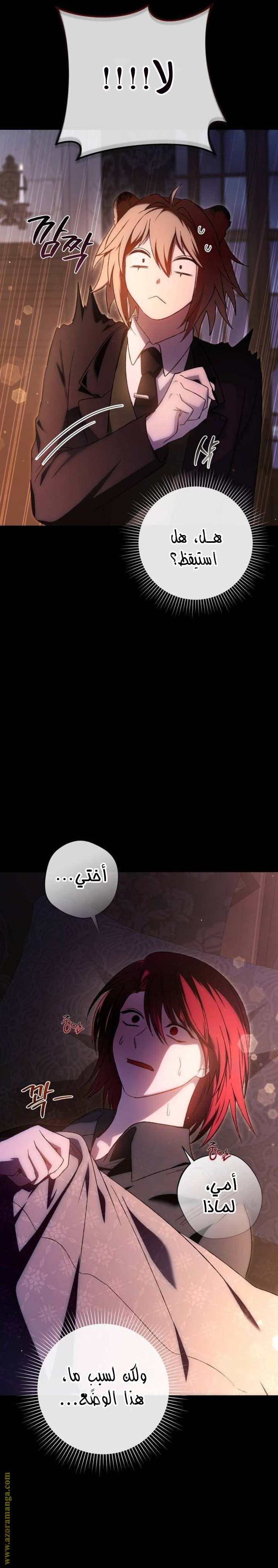 الصفحة 27