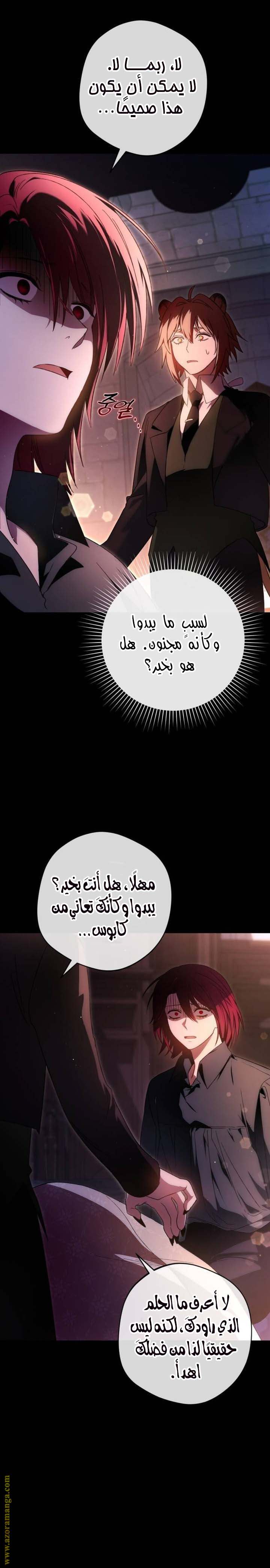 الصفحة 29
