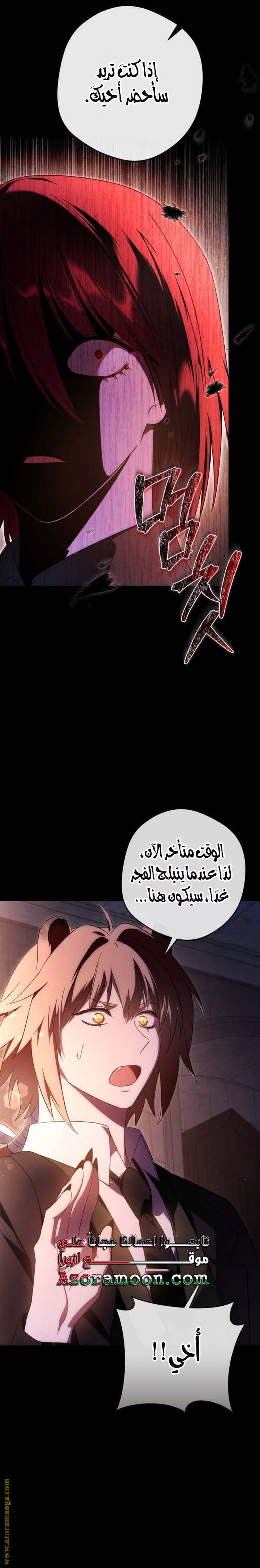 الصفحة 30