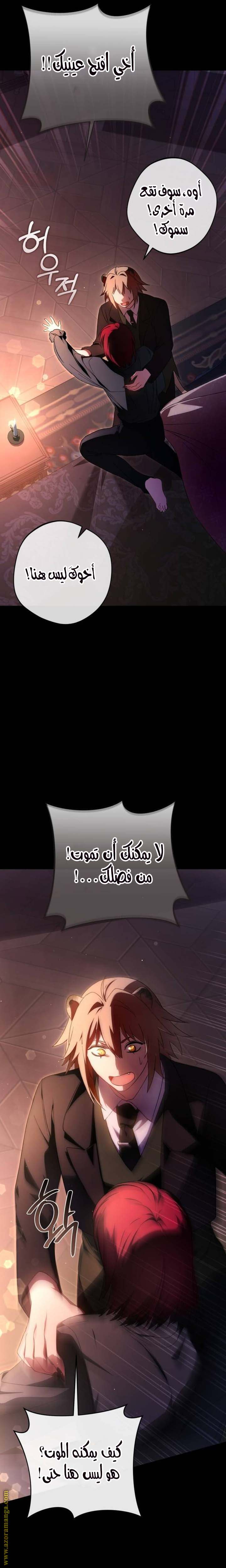 الصفحة 31