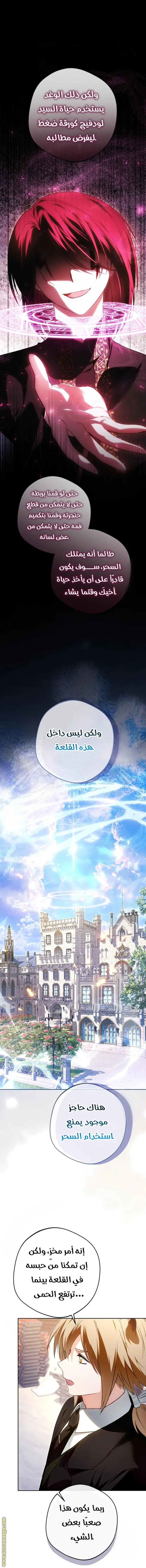 الصفحة 19
