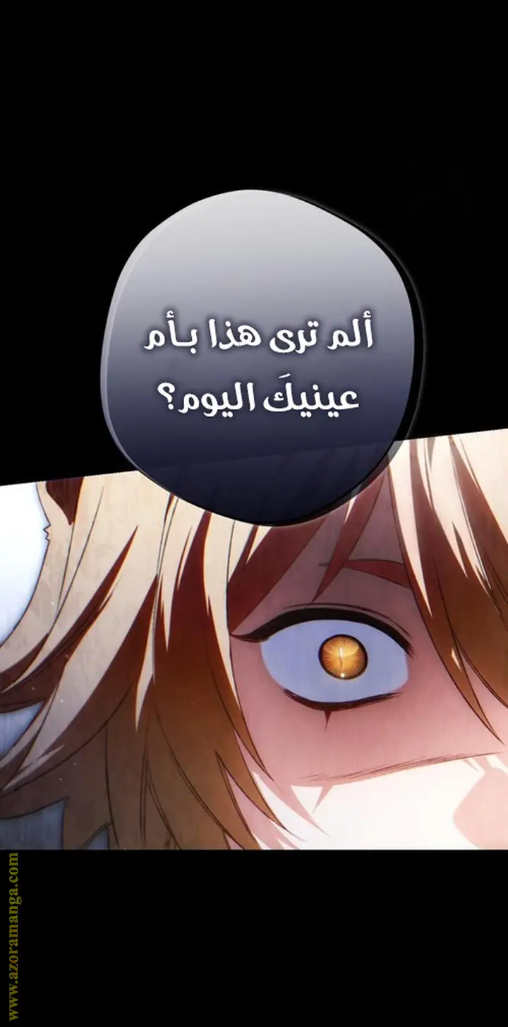 الصفحة 43