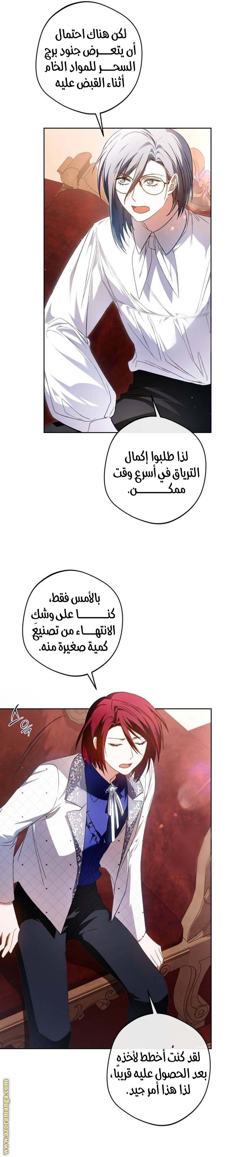 الصفحة 13