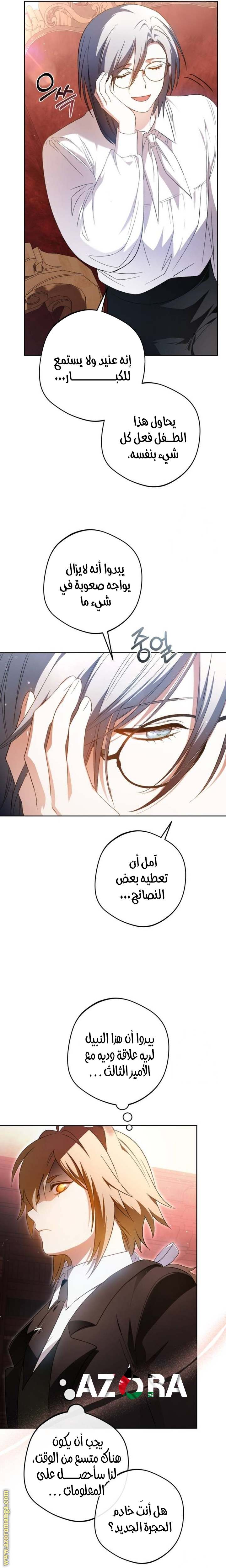 الصفحة 17
