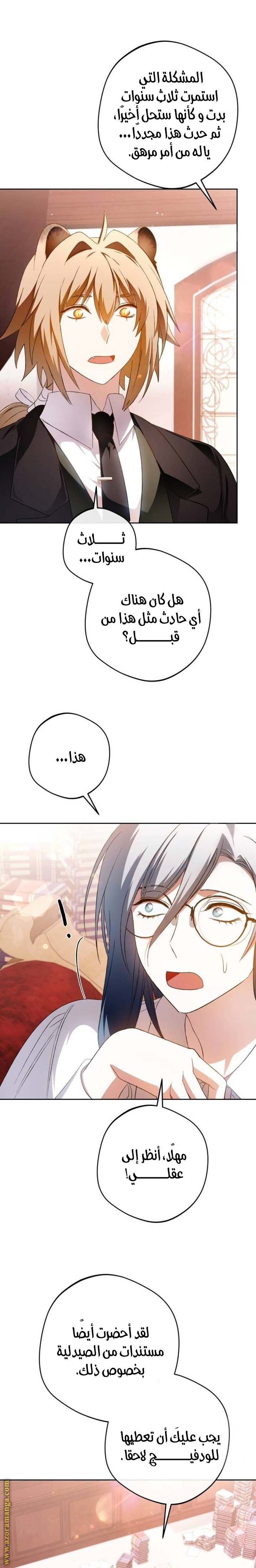 الصفحة 25