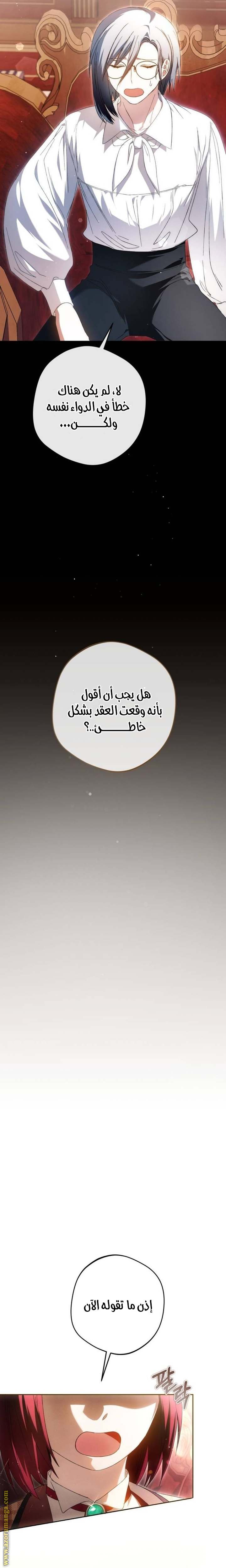 الصفحة 27