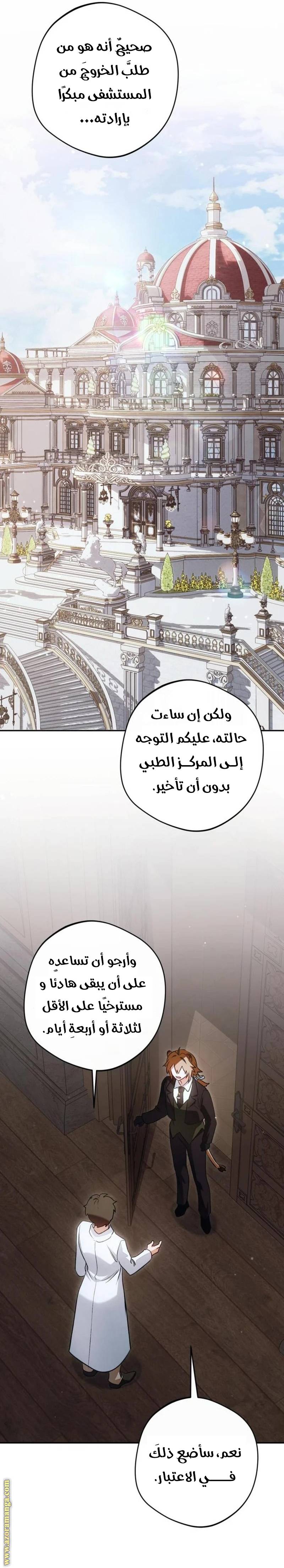 الصفحة 21