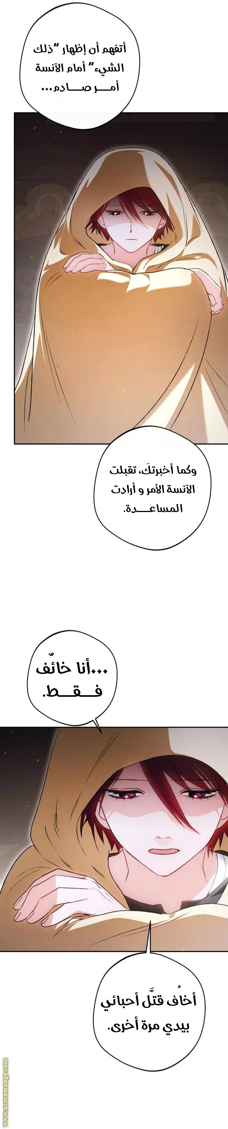 الصفحة 26