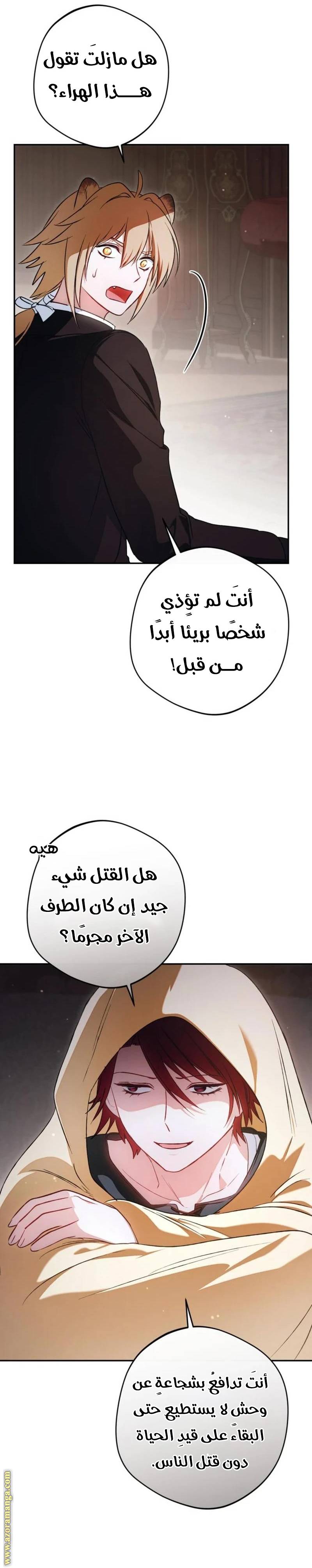 الصفحة 27
