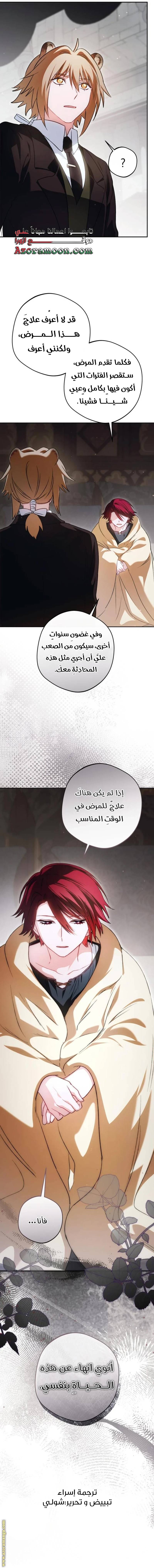 الصفحة 29