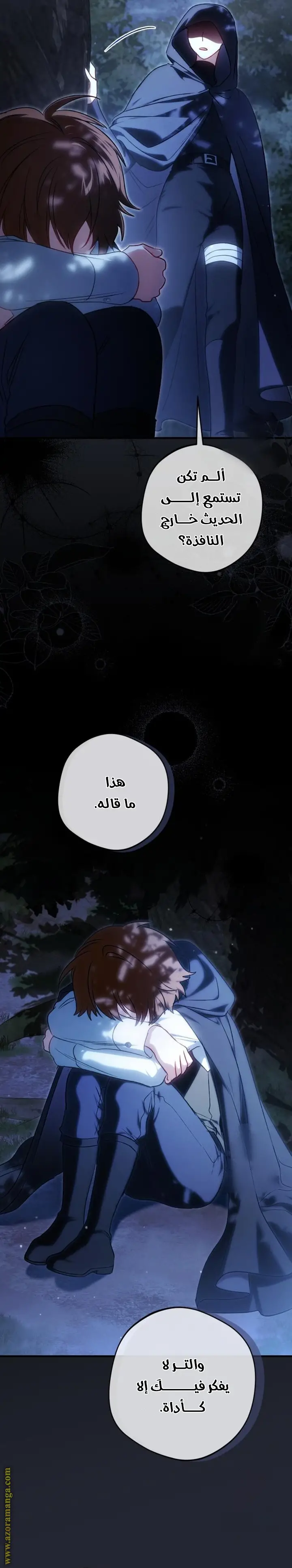 الصفحة 30