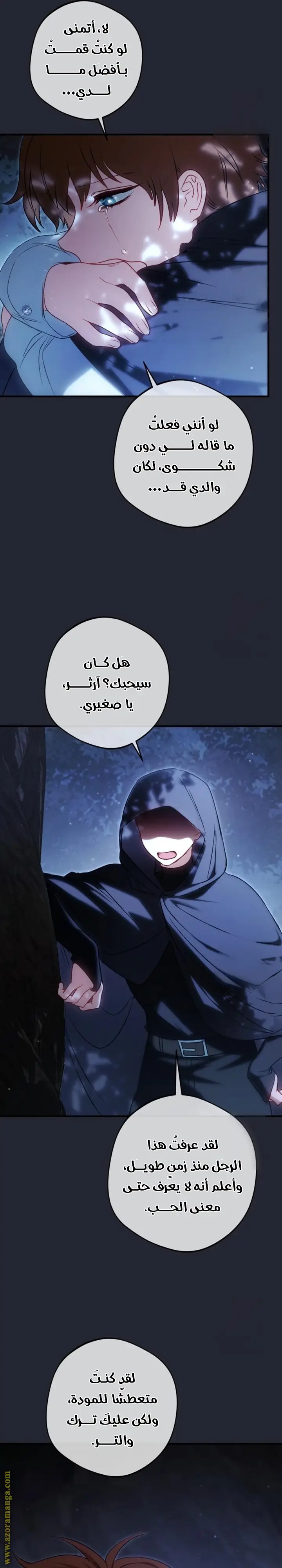 الصفحة 31