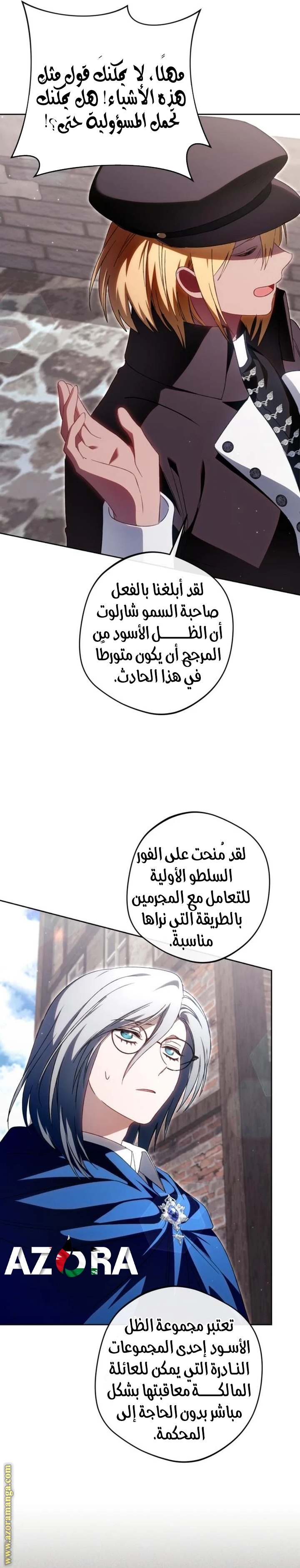 الصفحة 17