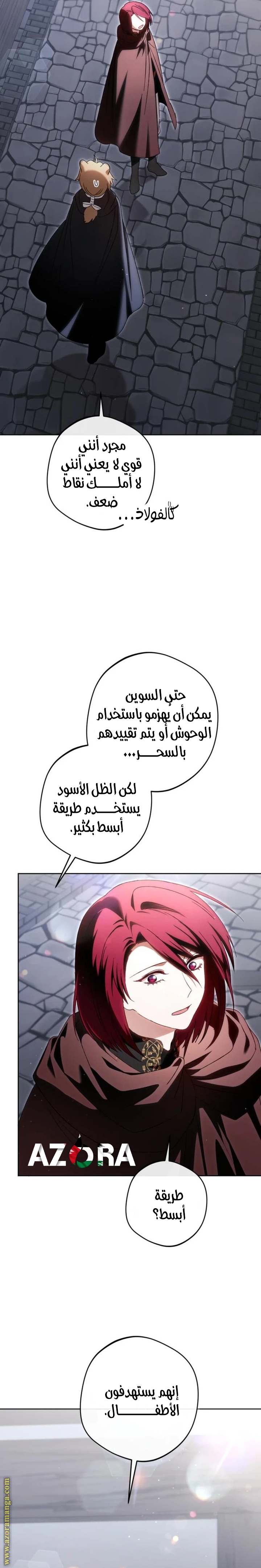 الصفحة 27
