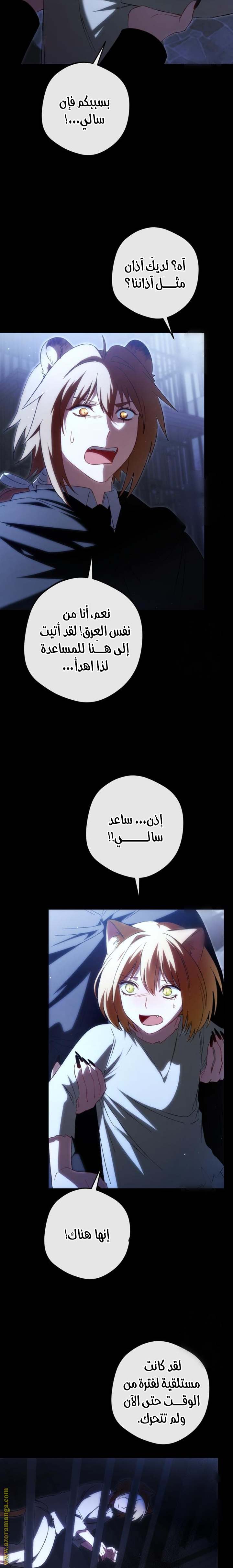 الصفحة 14