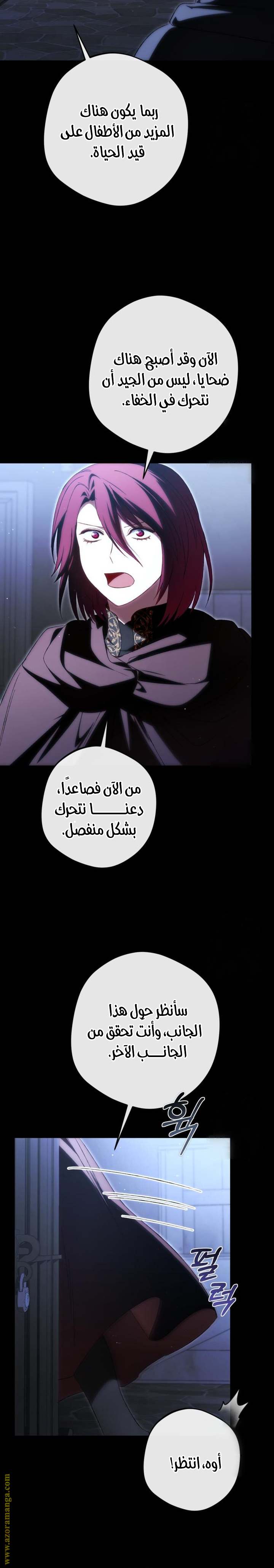 الصفحة 23