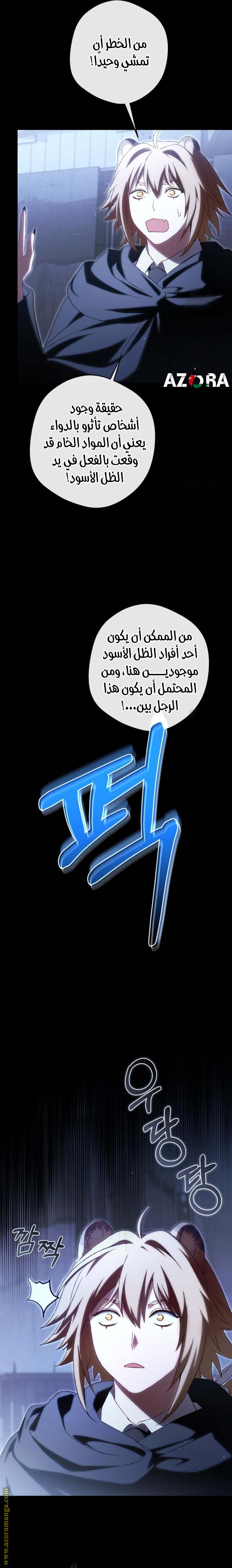 الصفحة 24