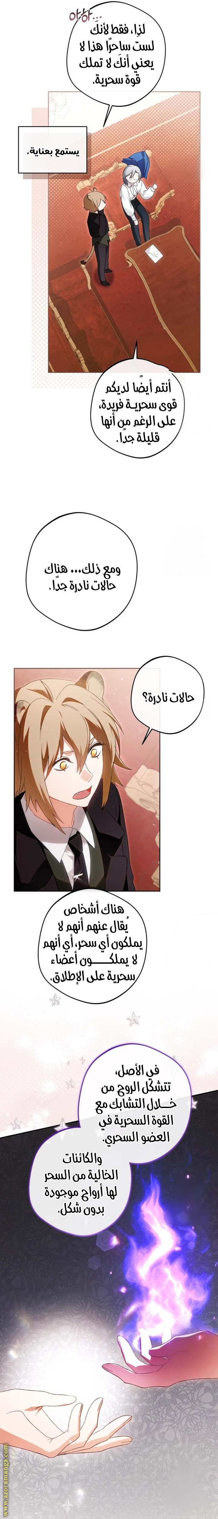 الصفحة 26