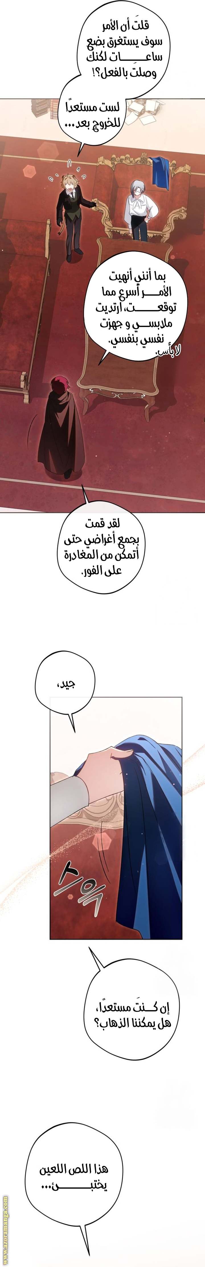 الصفحة 31