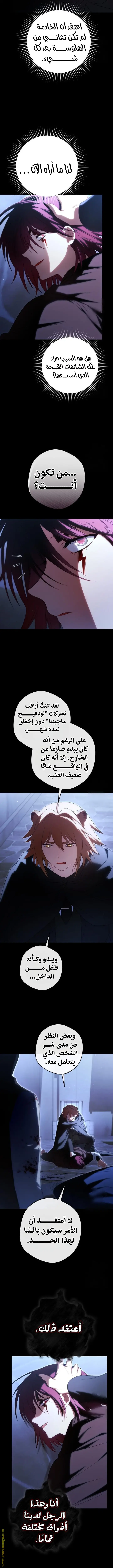 الصفحة 8