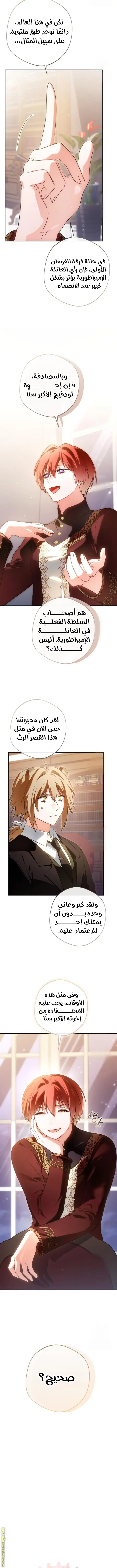 الصفحة 5