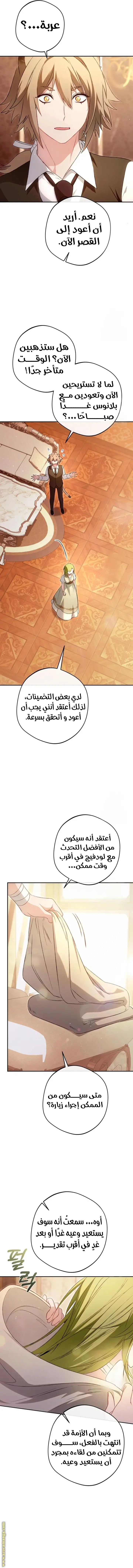 الصفحة 13