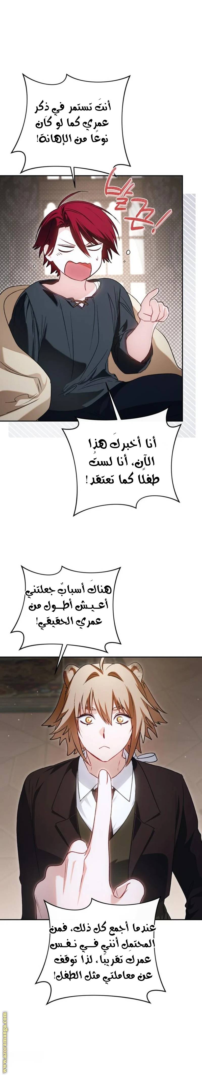 الصفحة 11