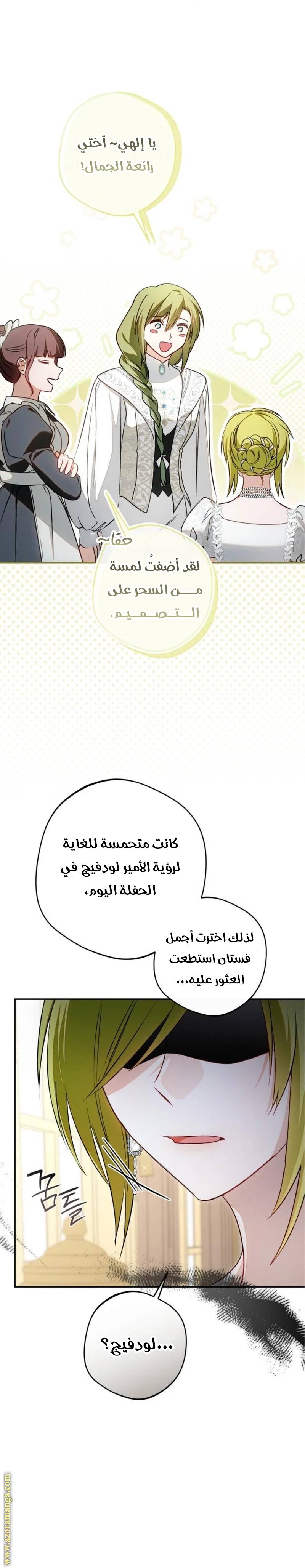 الصفحة 21