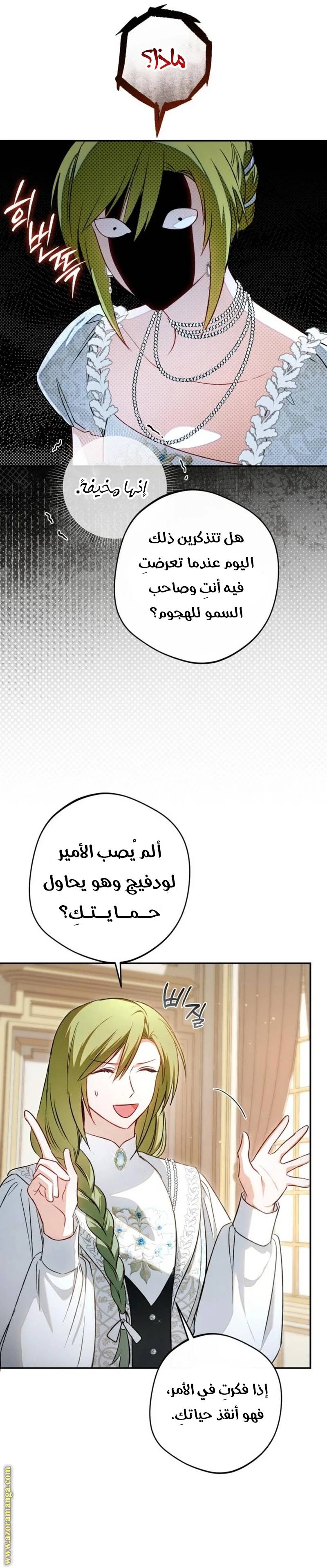 الصفحة 25
