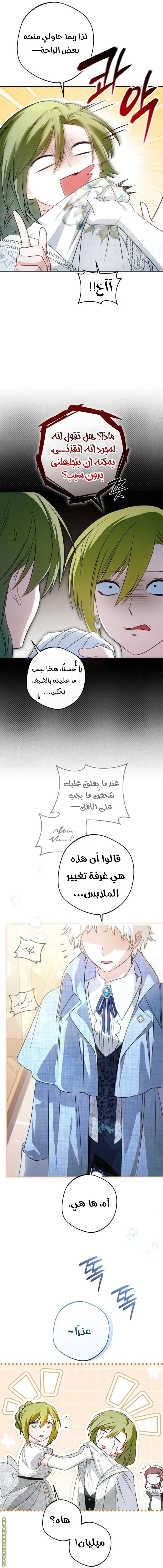 الصفحة 26