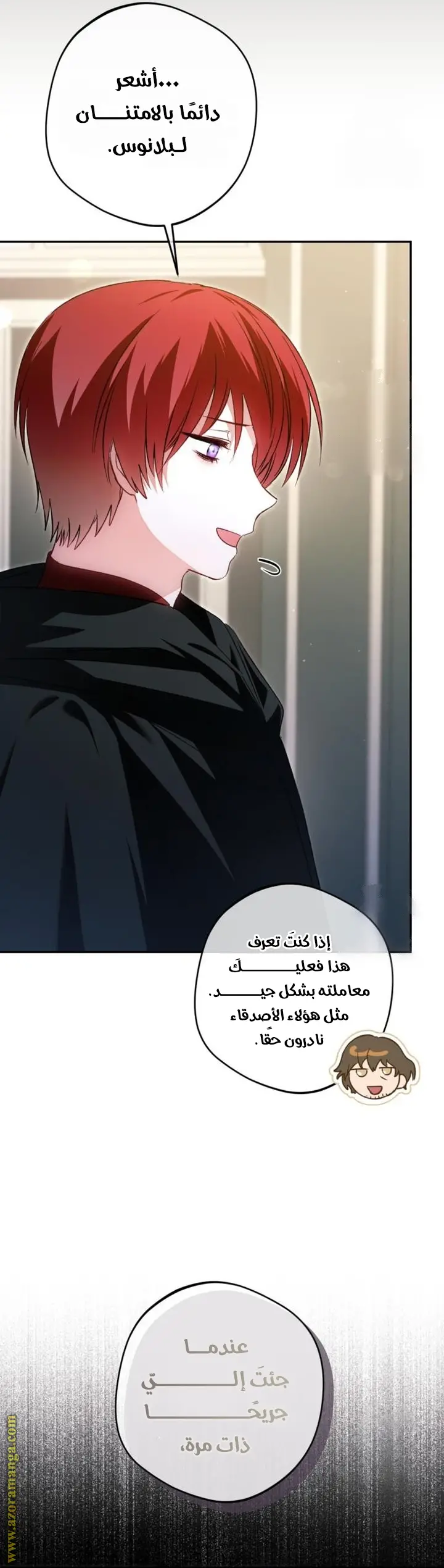 الصفحة 17