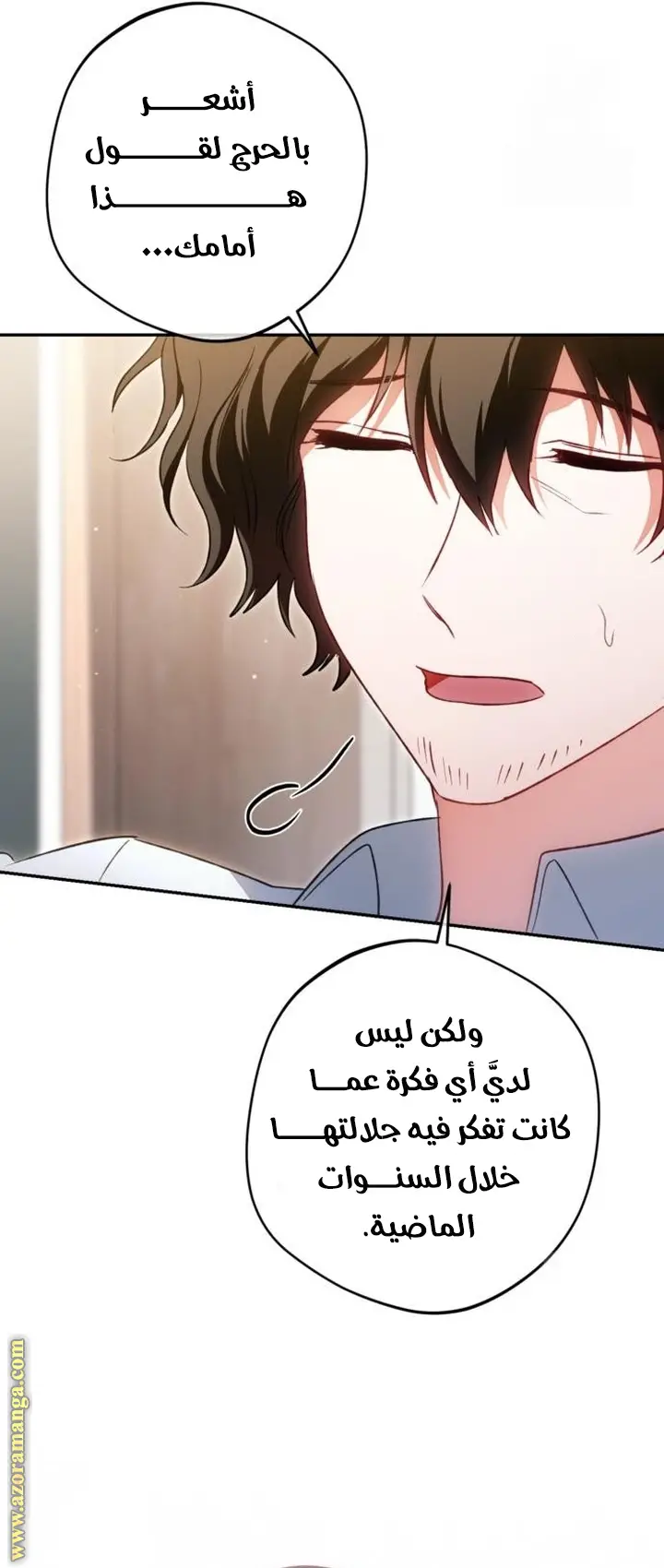 الصفحة 27
