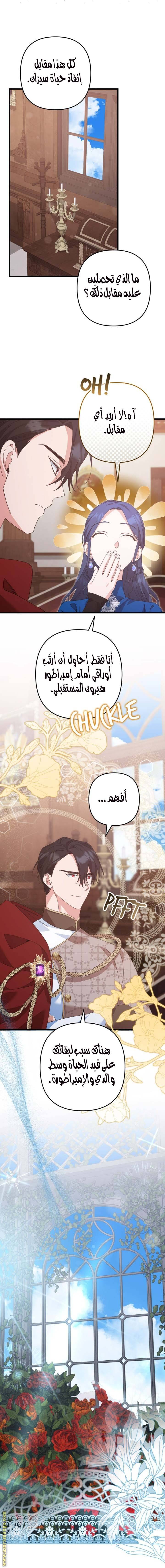 الصفحة 8
