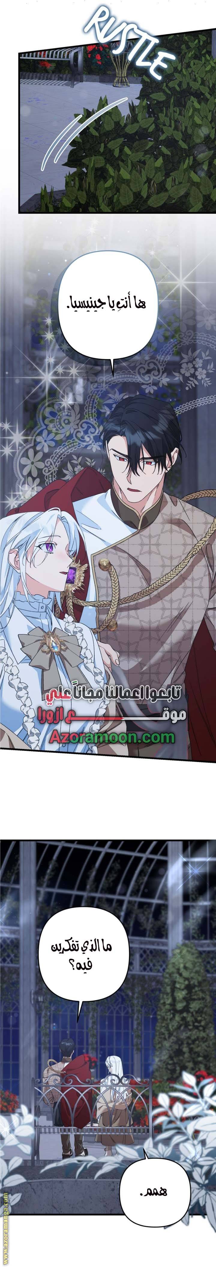 الصفحة 13